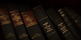 ARTICLE 12 “STATE” in Indian Constitution