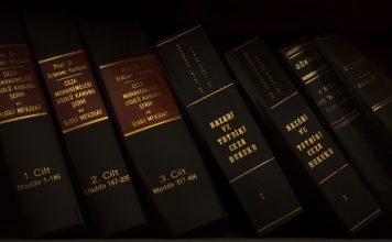 ARTICLE 12 “STATE” in Indian Constitution